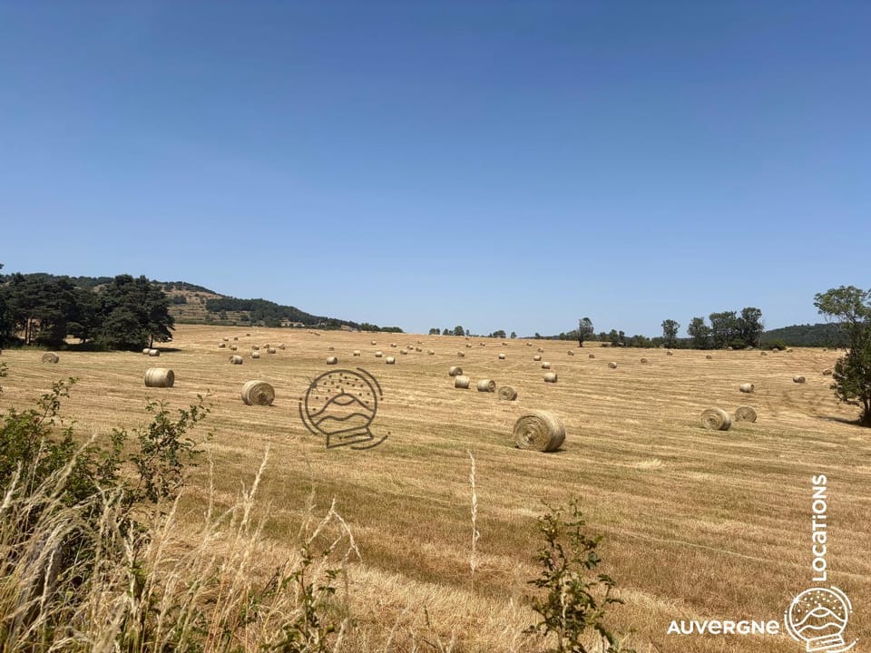 Le Chardonneret du Sancy House in Auvergne-Rhône-Alpes