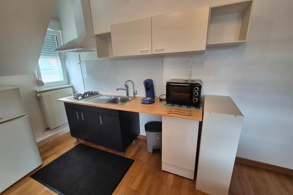 Apartment with garden in Colmar Apartment in Colmar