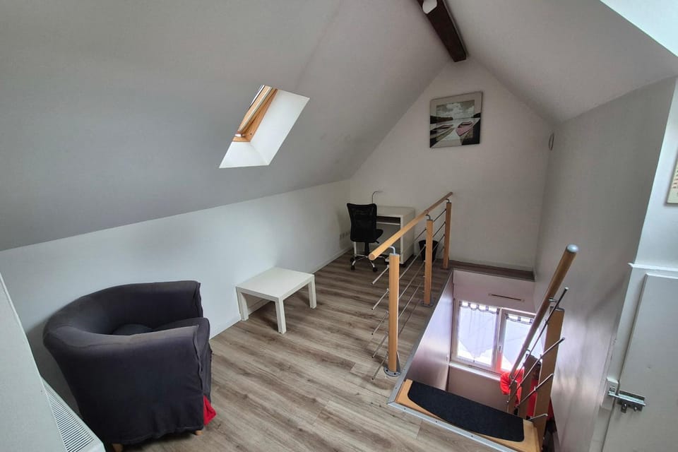 Apartment with garden in Colmar Apartment in Colmar