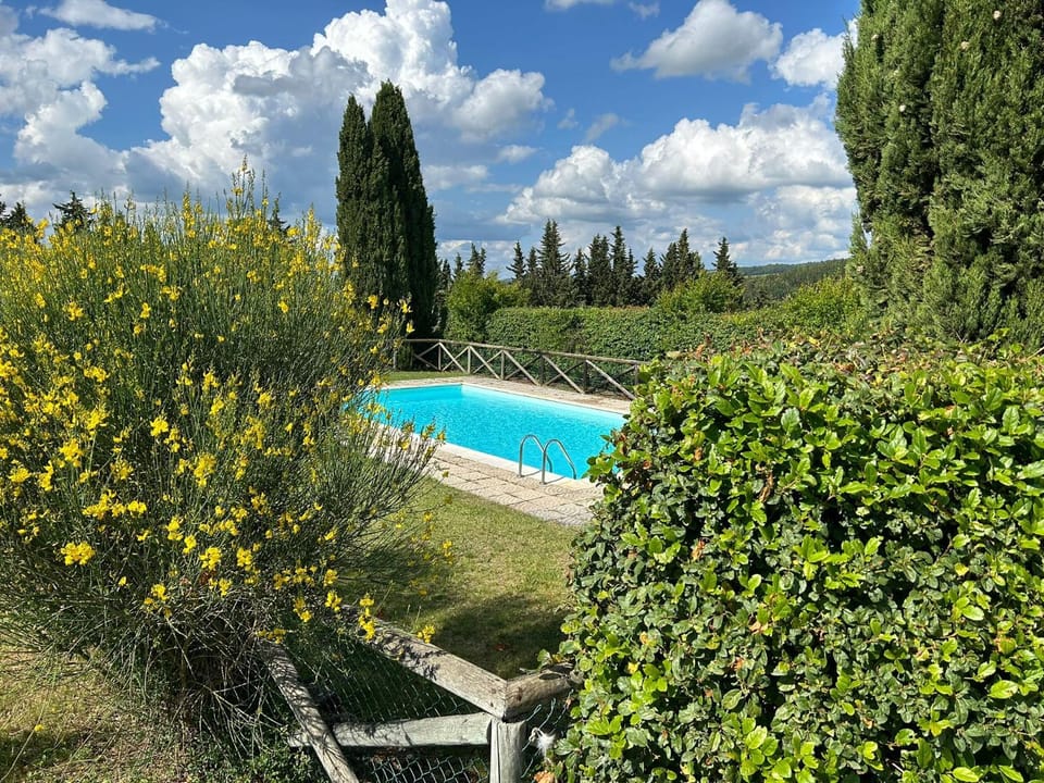 Spring, Day, Natural landscape, Garden, Garden view, Pool view, Swimming pool