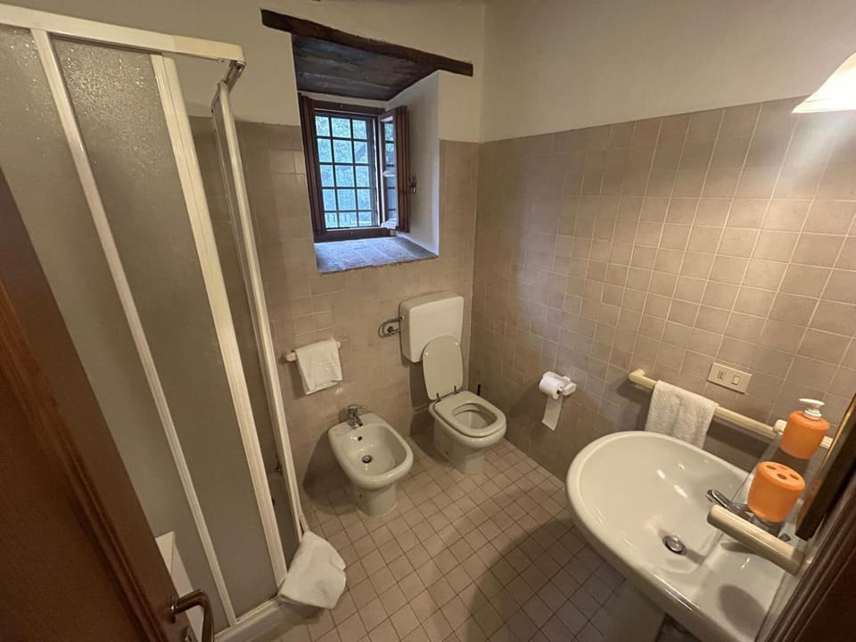 Shower, Toilet, Bathroom, bidet, towels