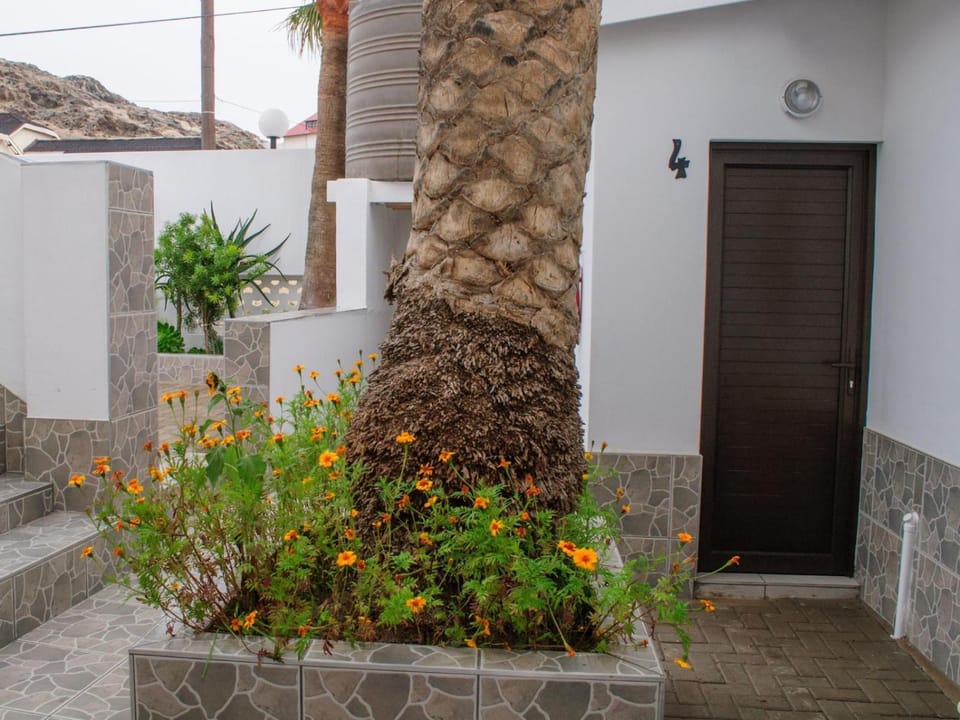 Property building, Garden view
