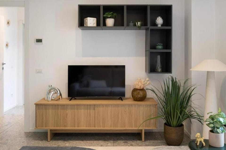 TV and multimedia