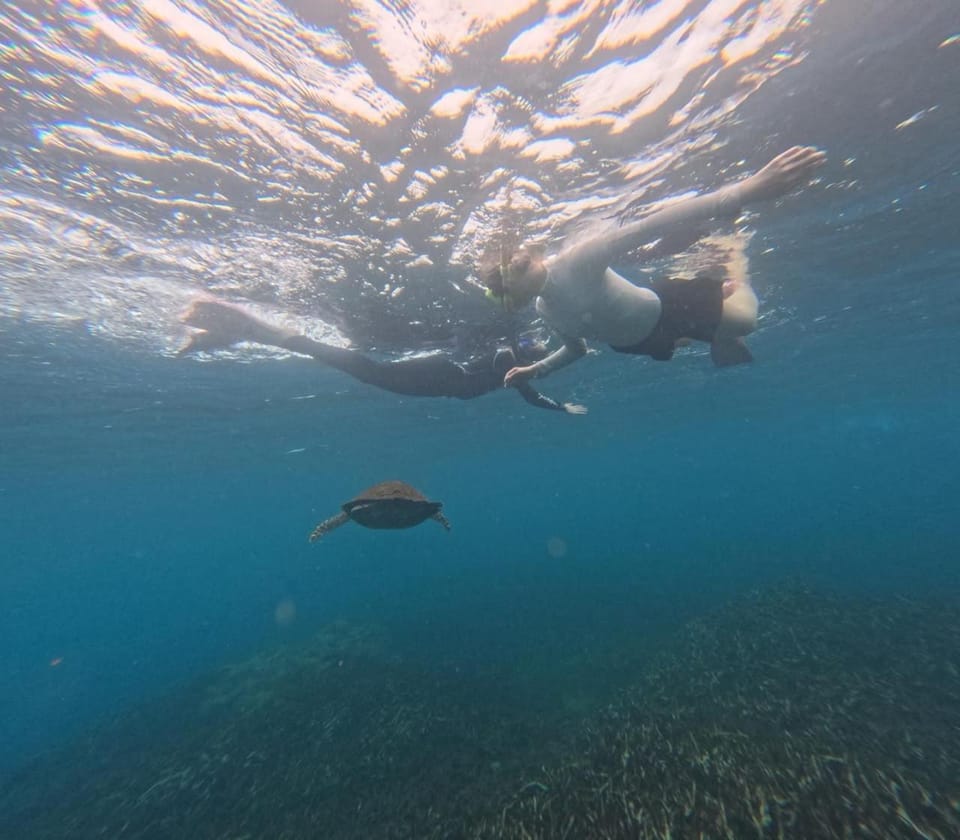 Snorkeling, Sports