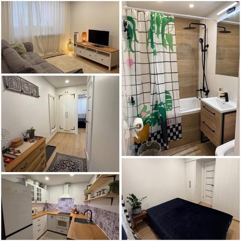 Butas Anykščiuose Apartment in Lithuania