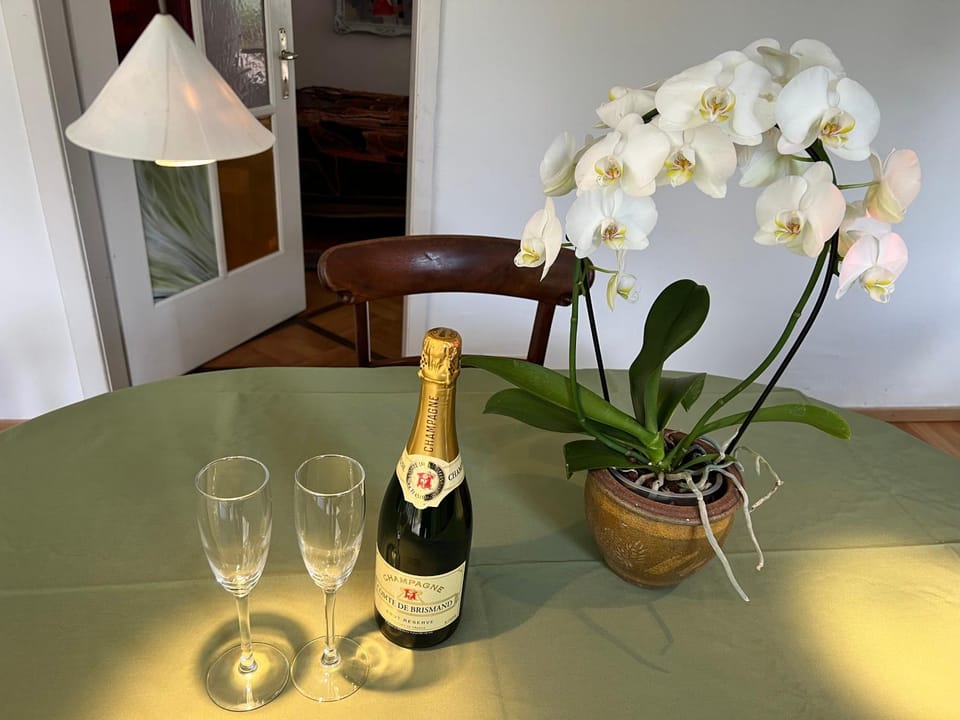 AllgaierArt-House Apartment in Baden-Württemberg