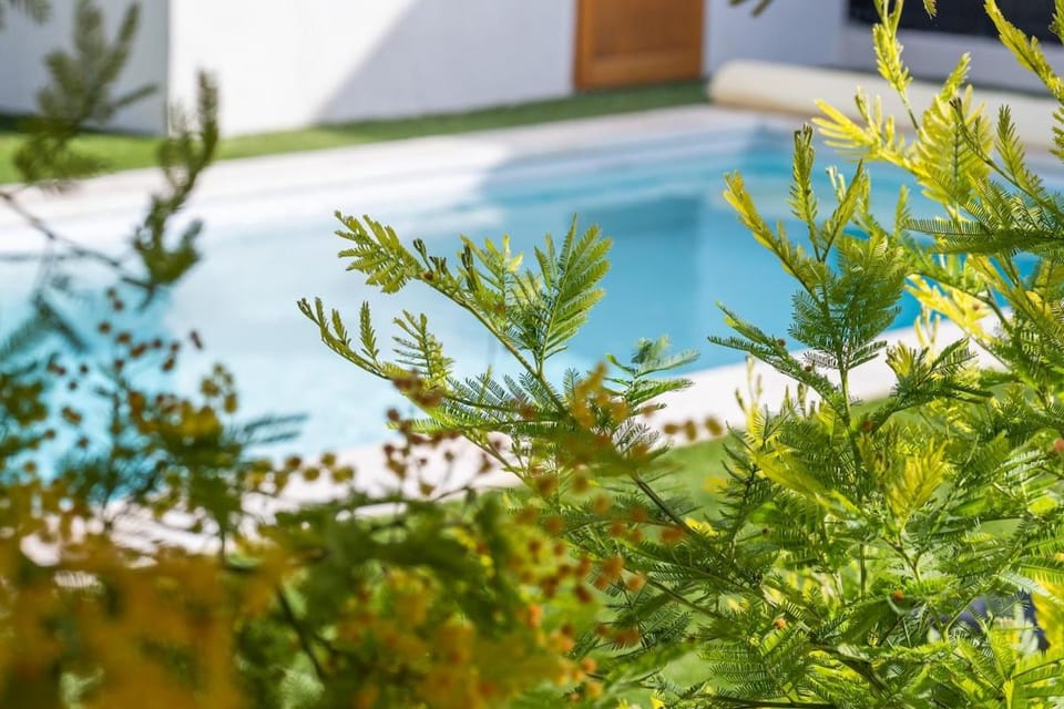 Spring, Day, Garden, Garden view, Pool view, Swimming pool