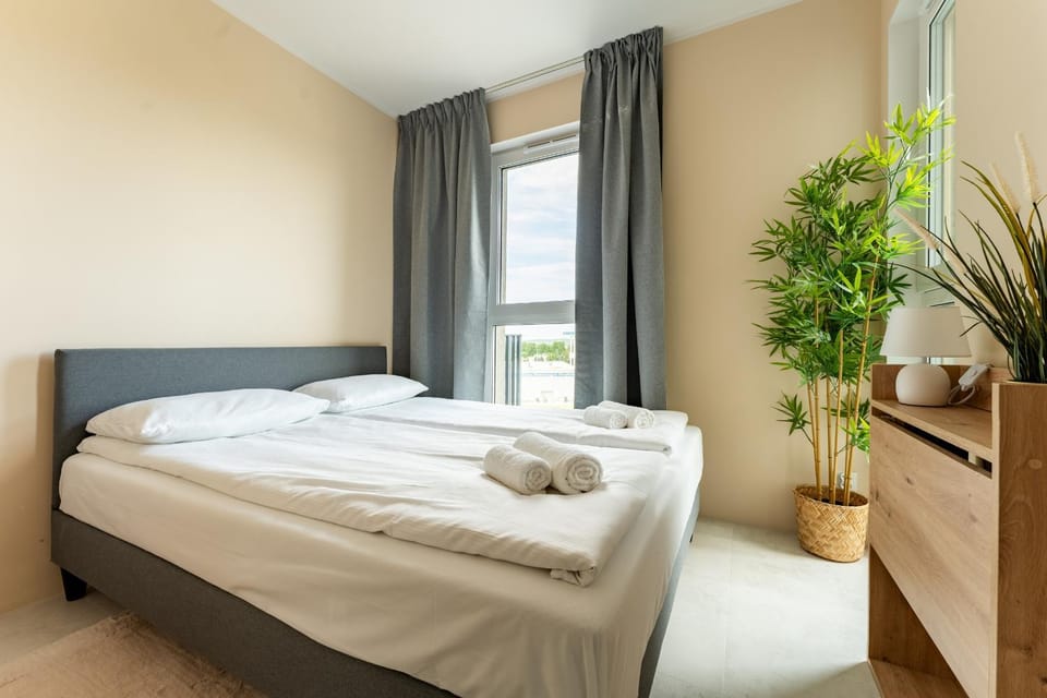 Bed, Photo of the whole room, Bedroom, towels