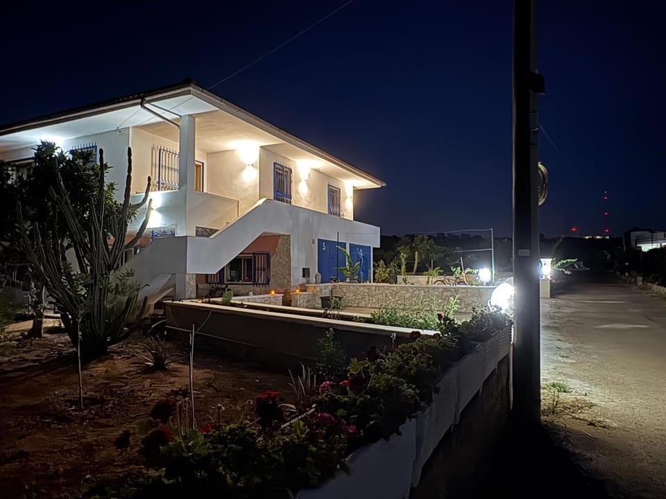 Property building, Night, Garden, Garden view