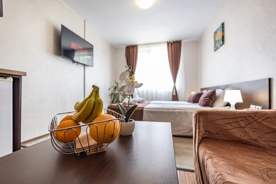 Snow Crystal Studio Apartment in Blagoevgrad Province