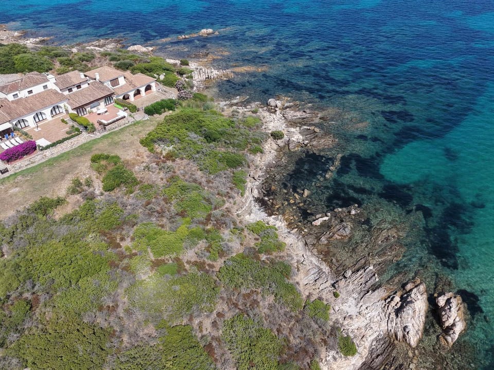 Il Delfino - Seaside bliss Apartment in Sardinia