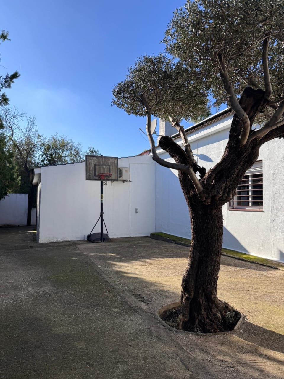 Finca Los Olivos & spa, animaux House in Costa de la Luz