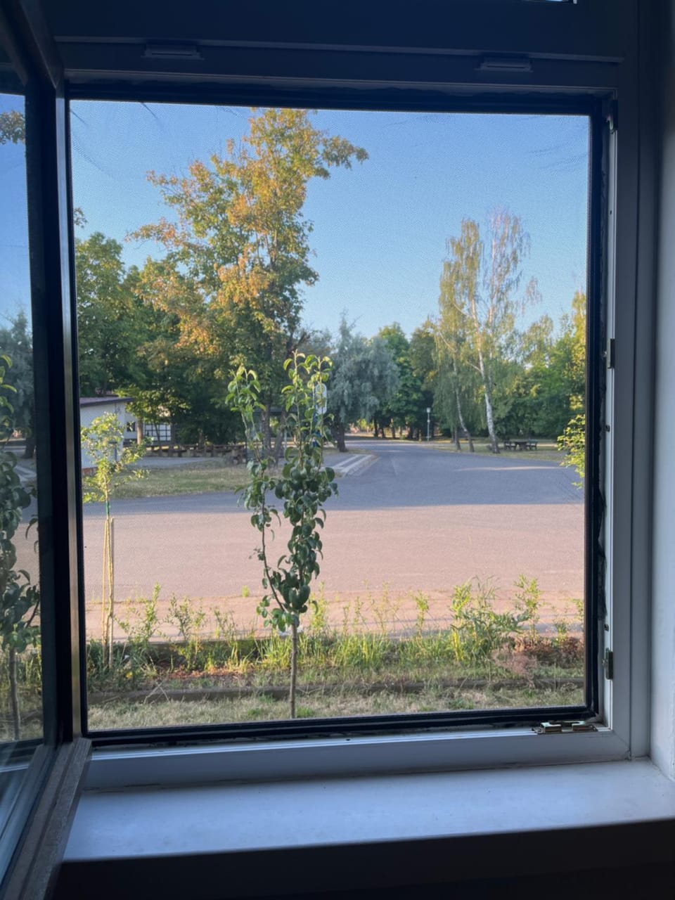 View (from property/room)