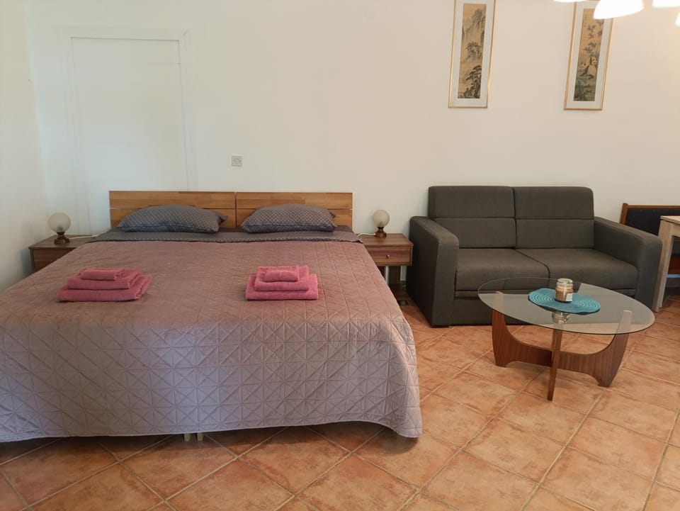 Bed, TV and multimedia, Living room, Photo of the whole room, Seating area, Bedroom, towels, kitchen, air conditioner, air conditioner