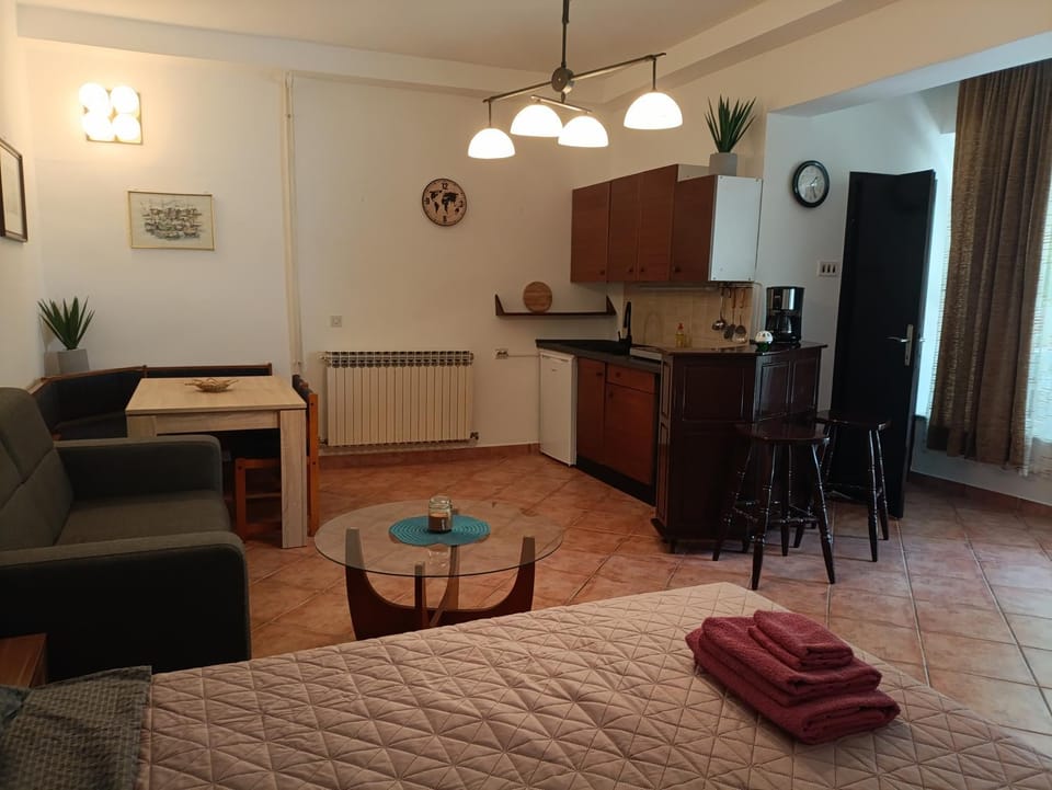 Kitchen or kitchenette, Living room, Seating area, Dining area, pet friendly, stove