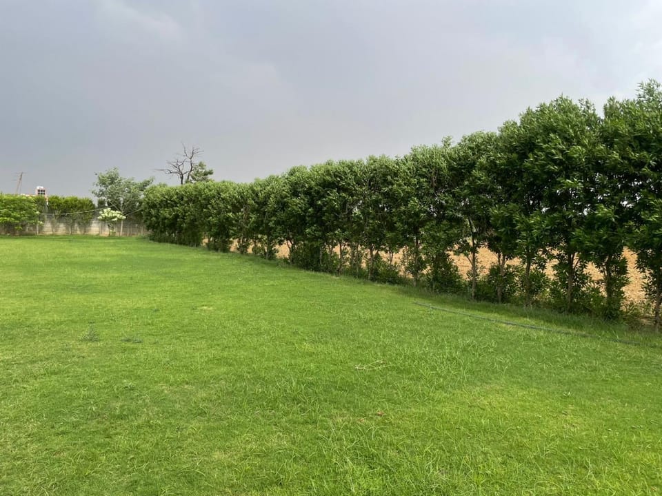Green hood farms and stay Farm Stay in Haryana