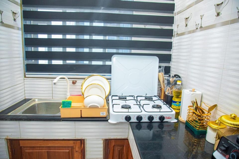 Prevail 1 BR apartment near Shoppers in Dodoma Apartment in Tanzania
