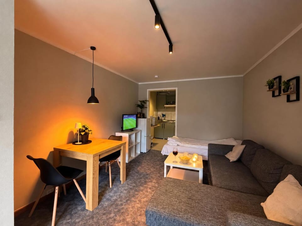 Newly renovated studio apartment in the center of Gol, bed linen & towels included Apartment in Viken, Norway