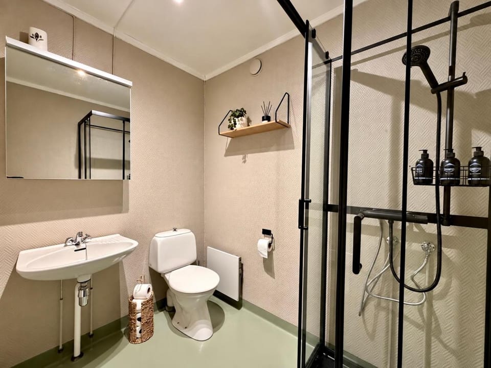 Shower, Toilet, Bathroom, towels