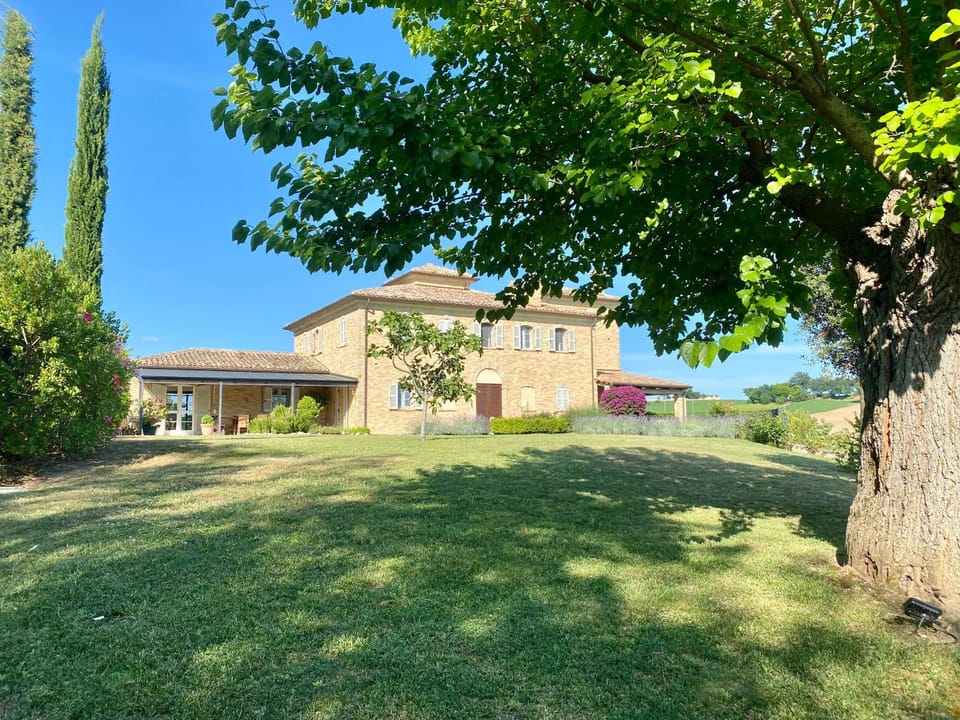 Garden view