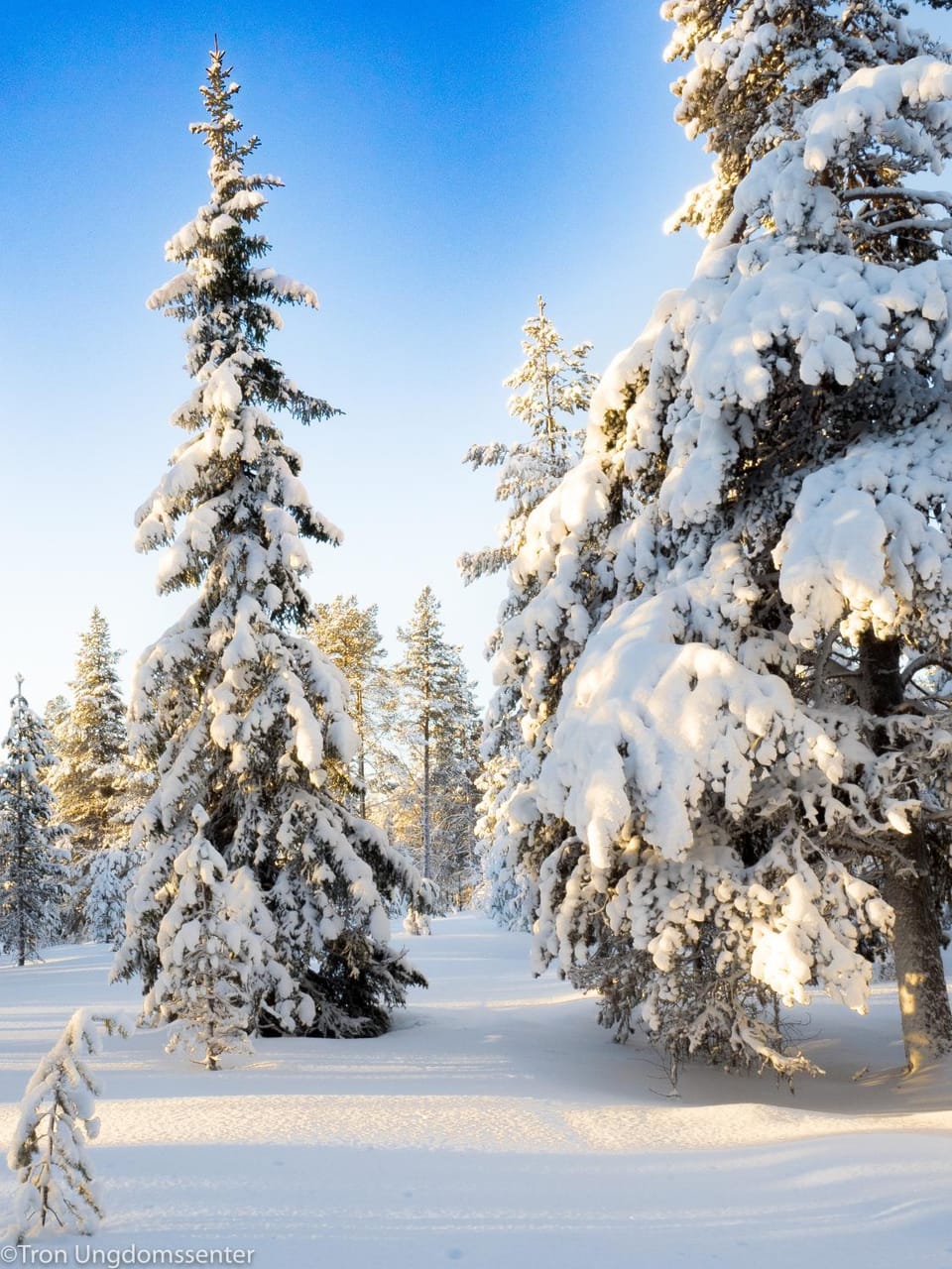 Off site, Natural landscape, Winter