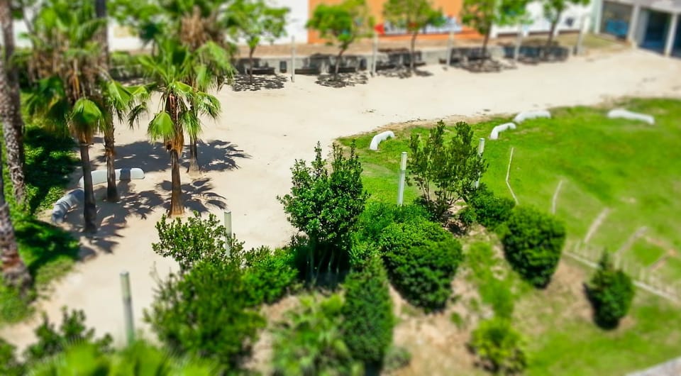 Day, Garden, Garden view, Garden view