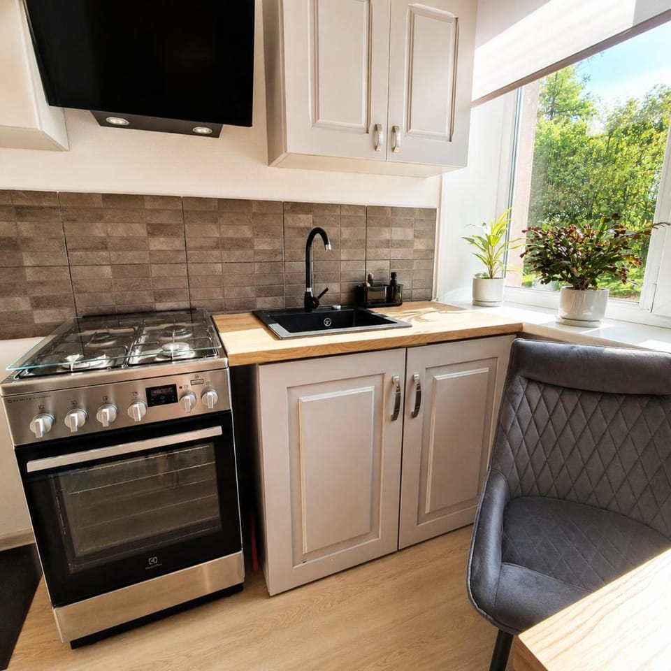 Kitchen or kitchenette, Dining area, oven