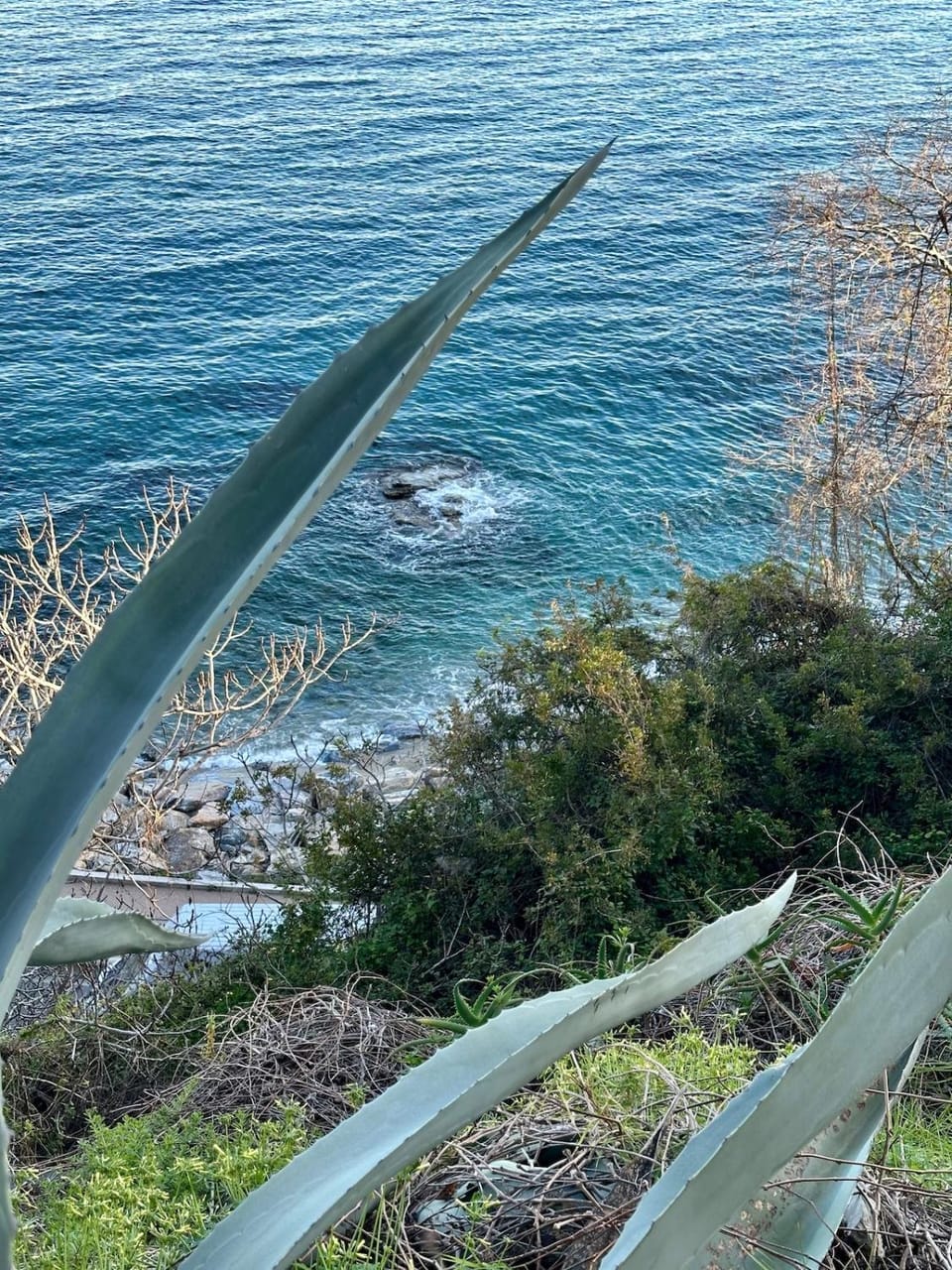 Incroyable vue mer à deux pas de la plage Apartment in Bastia