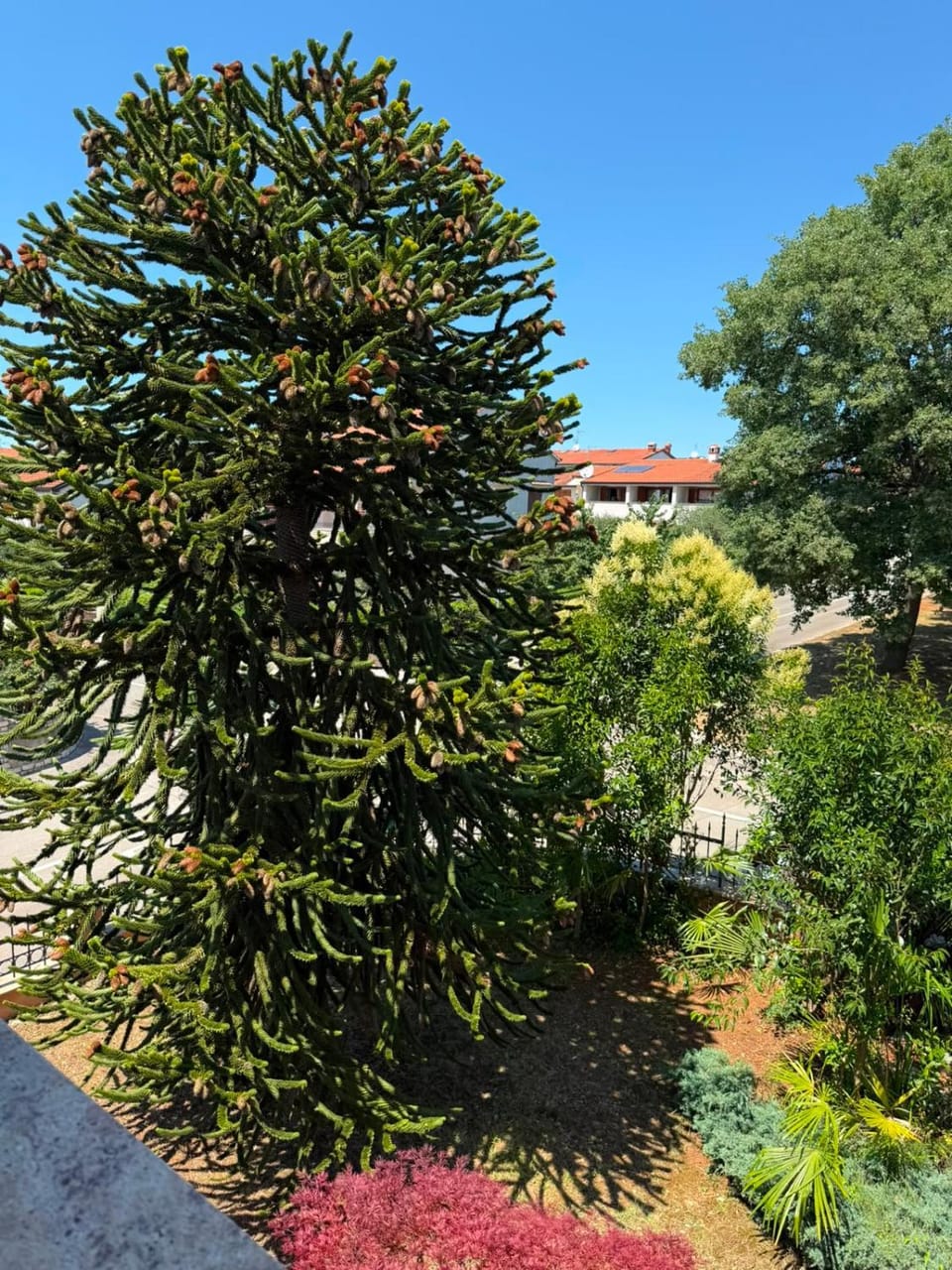 Garden, Garden view