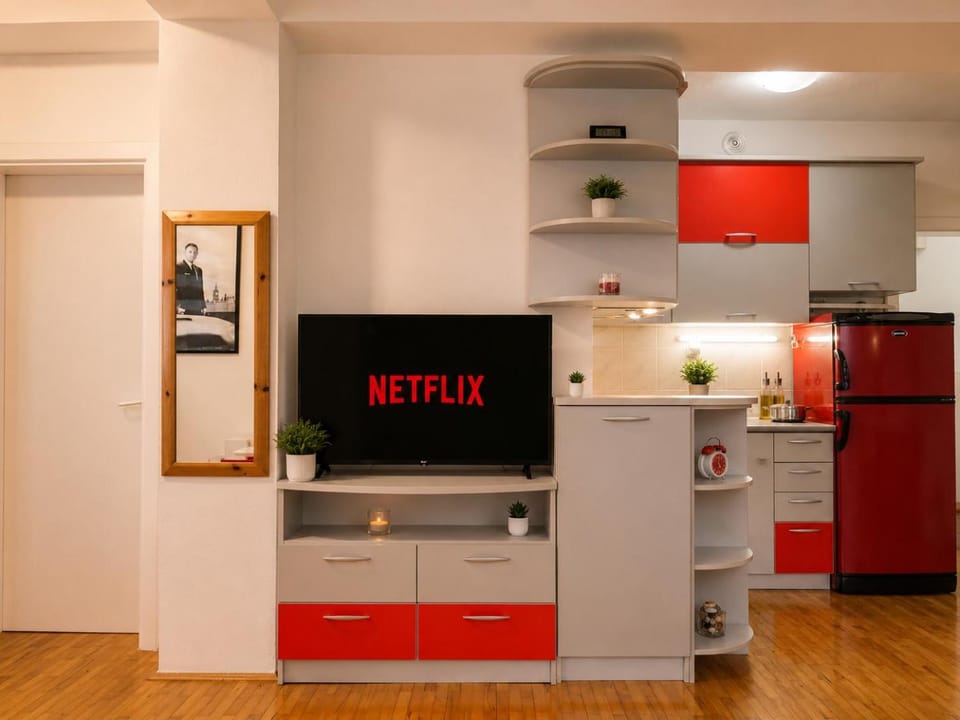 TV and multimedia, internet