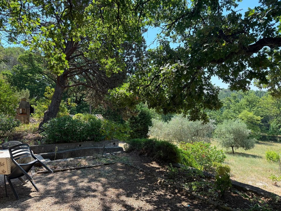 Spring, Day, Natural landscape, Garden, Garden view
