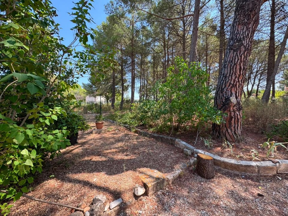 Spring, Day, Natural landscape, Garden, Garden view