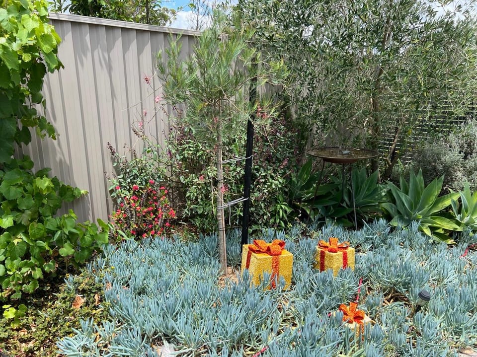 Garden, Garden view