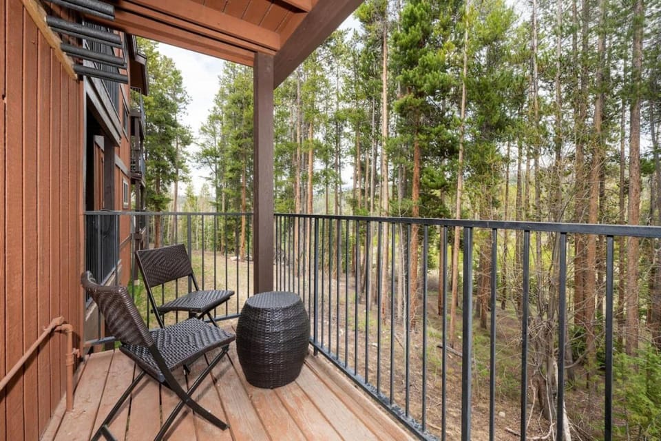 Winter Park Chalet I Mtn Biking I Summer festivals Apartment in Fraser