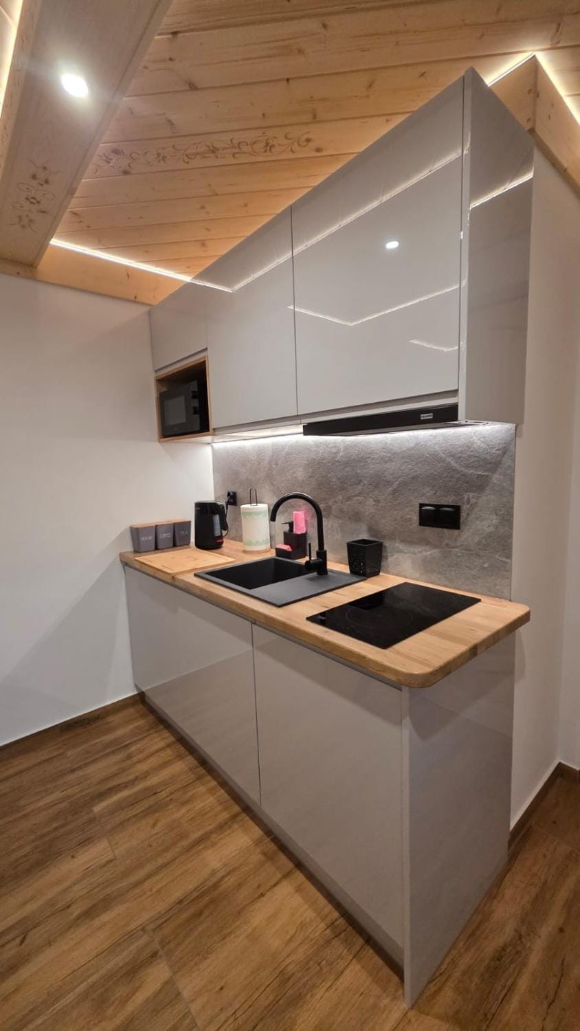 Kitchen or kitchenette, stove, toaster