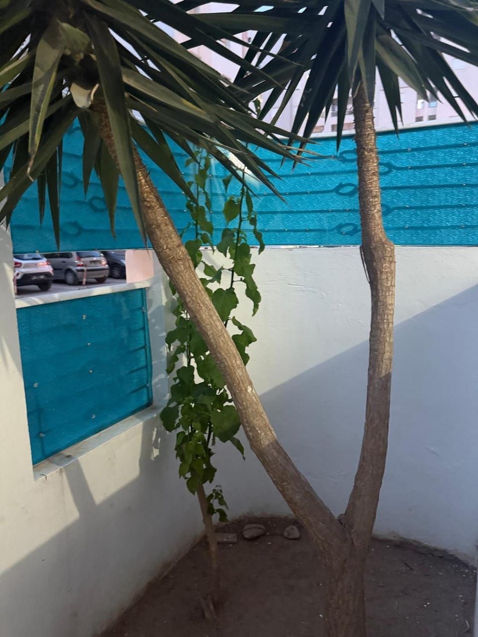 Aouina Stay Apartment in Tunis Governorate, Tunisia