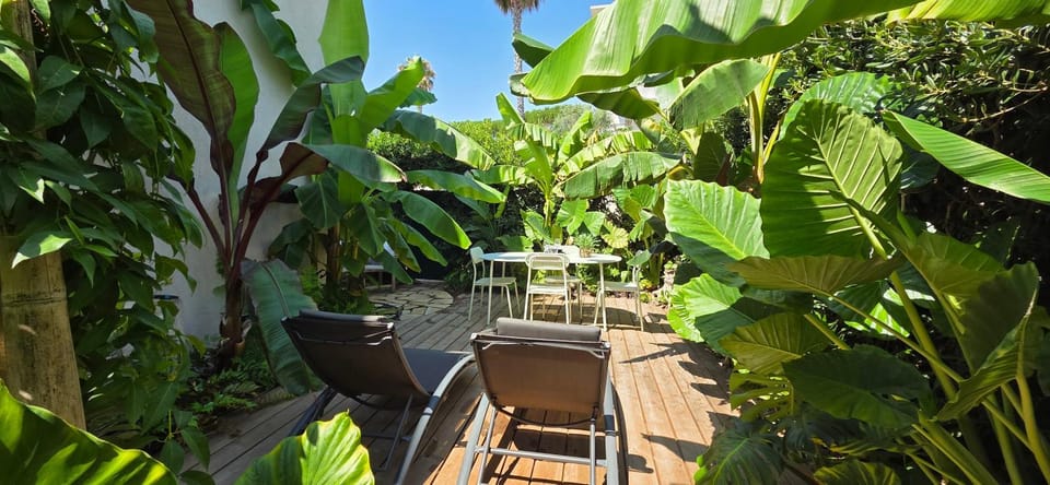 Patio, Garden, Balcony/Terrace