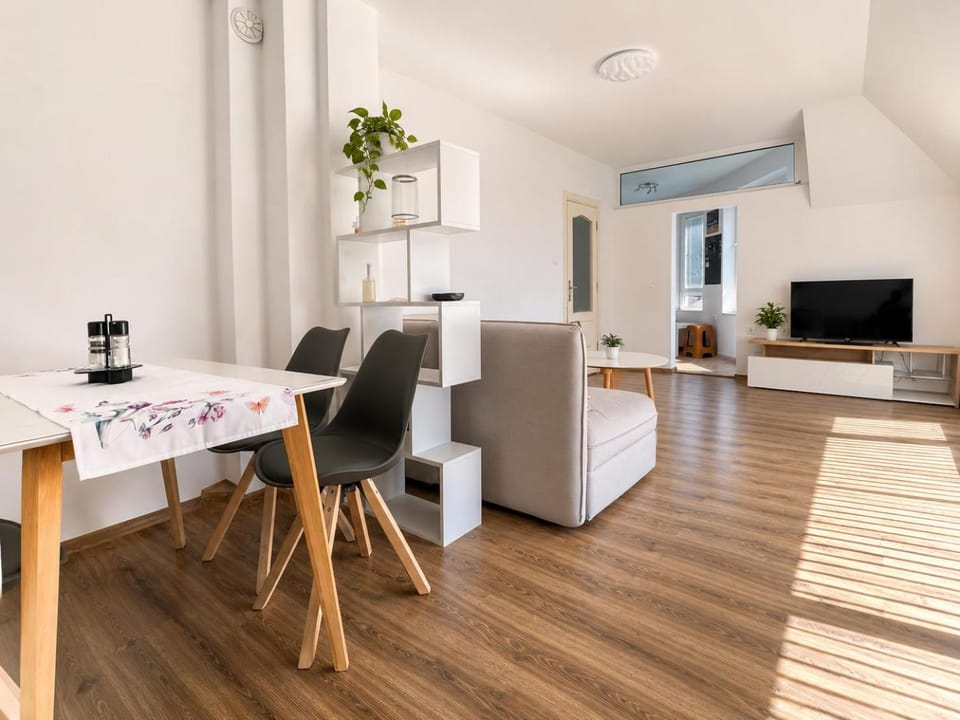 Day, TV and multimedia, Living room, air conditioner