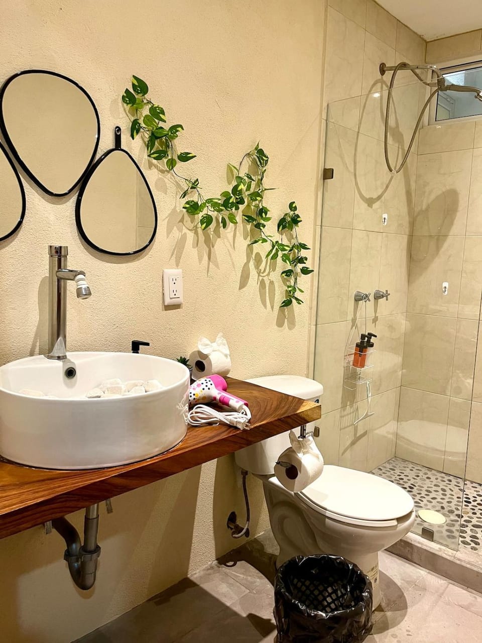 Planta Baja,p4,Pet friendly,10 minutos del centro Apartment in San Miguel de Allende