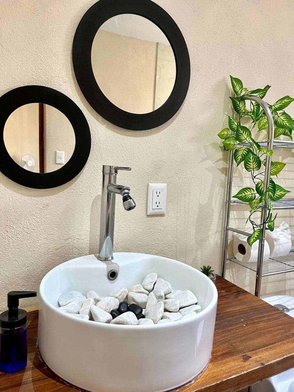 Planta Baja,p4,Pet friendly,10 minutos del centro Apartment in San Miguel de Allende