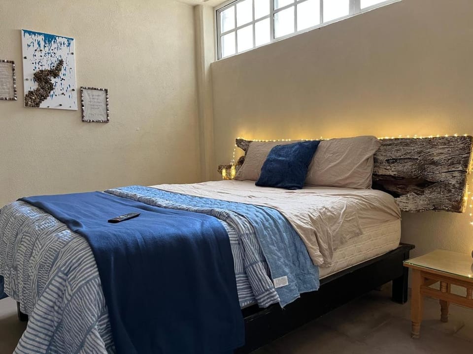 Planta Baja,p4,Pet friendly,10 minutos del centro Apartment in San Miguel de Allende