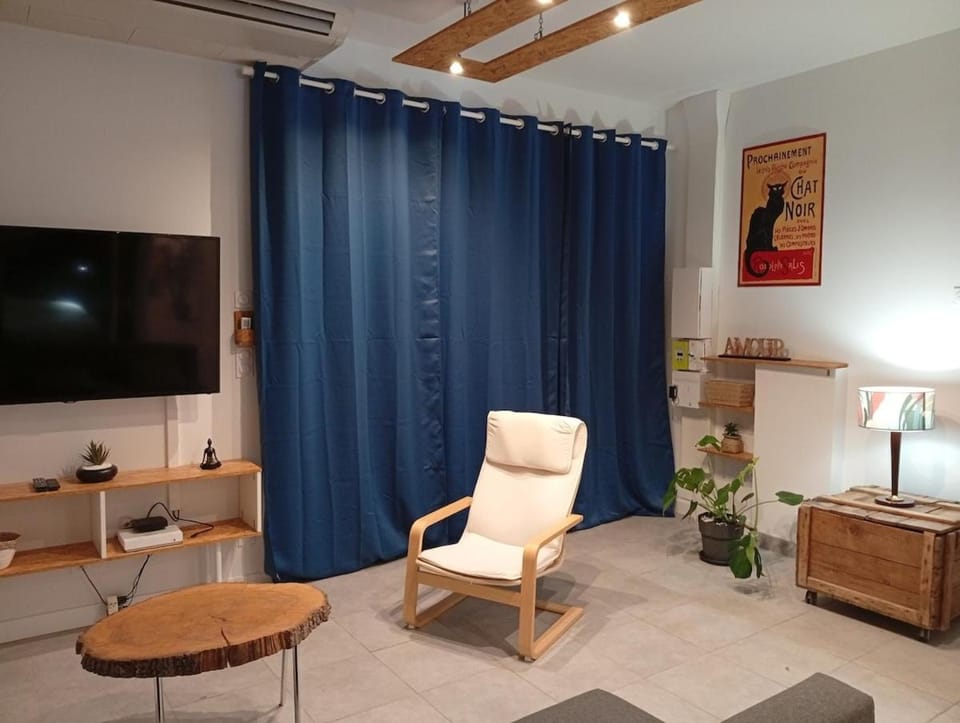 Le Loft du Neflier Apartment in Lyon
