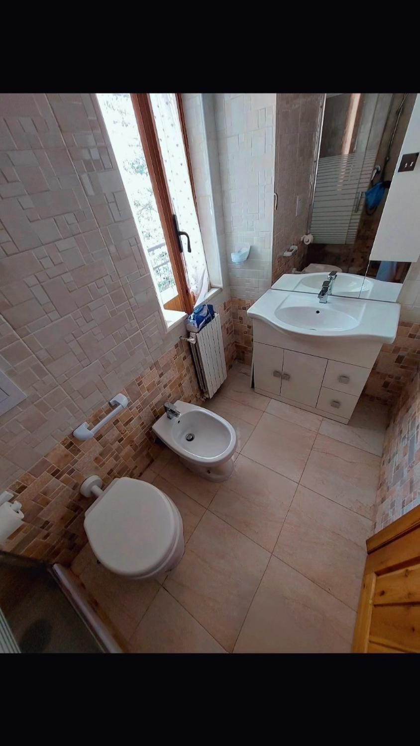 Toilet, Bathroom, bidet