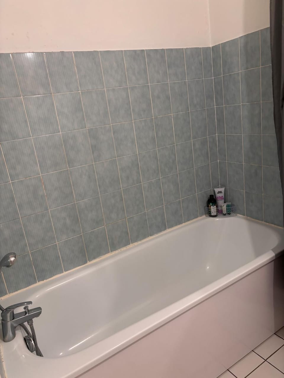 Grand T3 lumineux Toulouse Argoulets Apartment in Toulouse