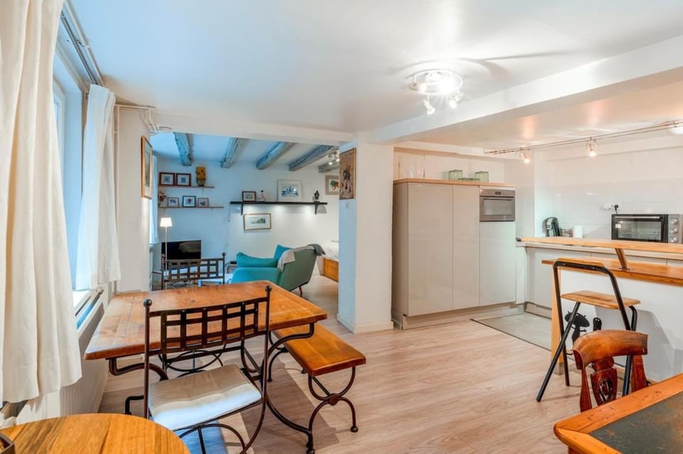 Charmant appartement a coté de la petite France plein centre Apartment in Strasbourg