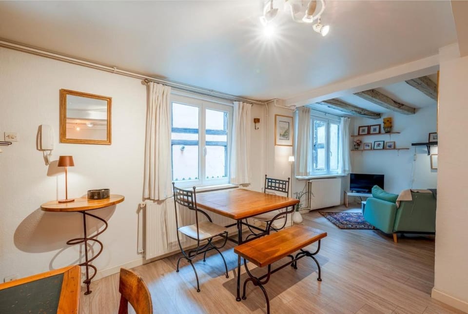 Charmant appartement a coté de la petite France plein centre Apartment in Strasbourg