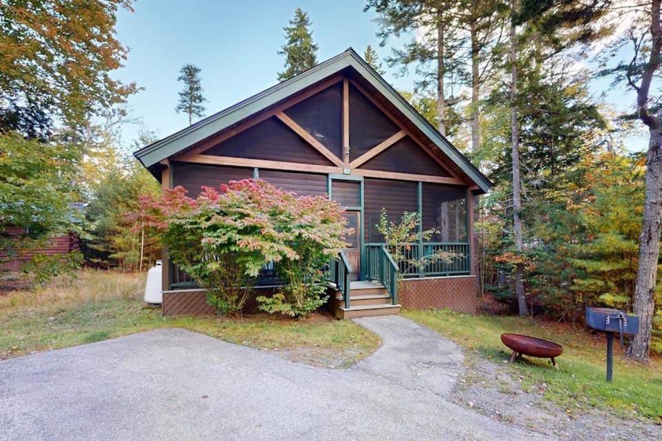 Property building, Day, Garden