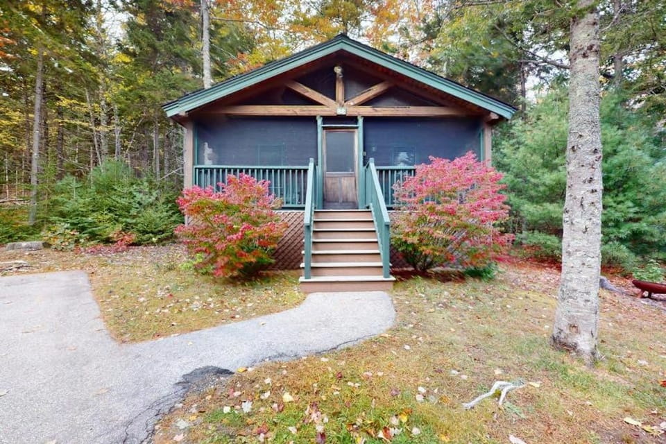 Property building, Day, Garden