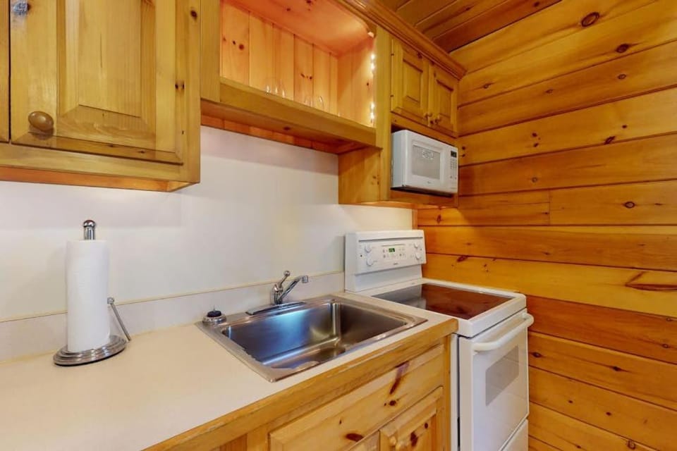 Kitchen or kitchenette, oven, stove