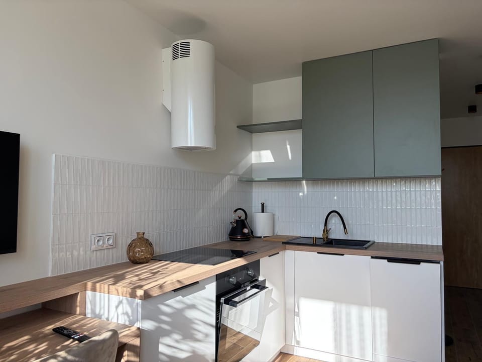 Kitchen or kitchenette, dishwasher, stove